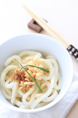 Japanese cuisine, Sanuki Udon