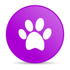 animal footprint violet circle web glossy icon