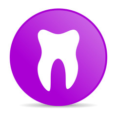 tooth violet circle web glossy icon
