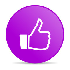 like violet circle web glossy icon