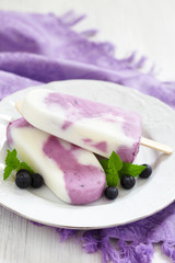 Blueberry yogurt ice cream popsicle