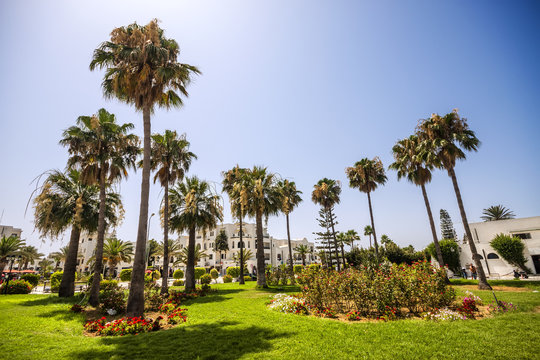 Tropical garden in Port El Kantaoui, Tunisia
