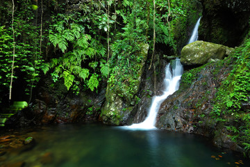 Cascade in forest