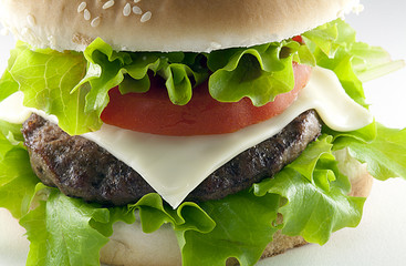Hamburger