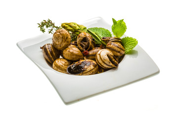 Escargot with asparagus, rosemary, thymus and tomato