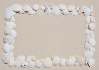 Frame made of seashells on the sandy beach