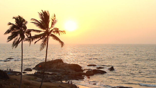 India Goa Vagator beach February 20, 2013. Palm Trees