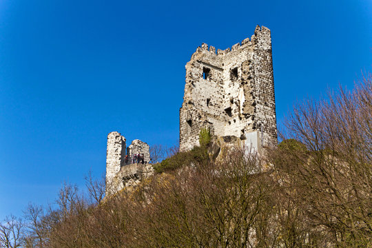 Burgruine Drachenfels