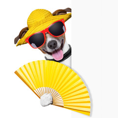 summer cocktail dog