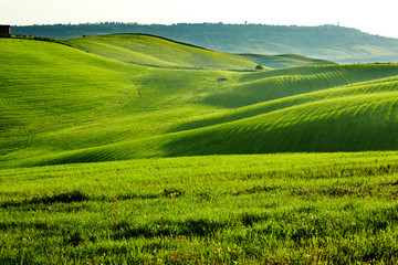 Obraz premium morning on countryside in Tuscany