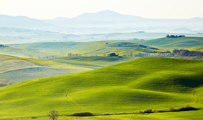 Fototapeta na wymiar morning on countryside in Tuscany