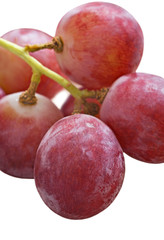 Obraz premium Bunch of red grapes on white