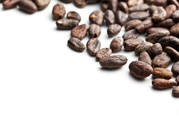 Fototapeta premium cocoa beans