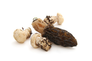 Champignons