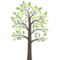 Obraz premium Stylized lone tree with fresh young leaves in spring