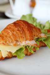 Turkey Sandwich