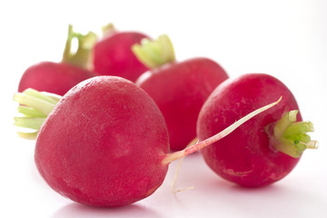 Red radishes on white with no leaves