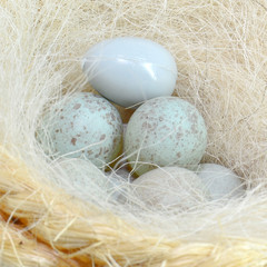 Huevo falso entre verdaderos