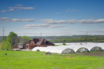 Fototapeta na wymiar Farm. A large modern farm with greenhouses in the spring.