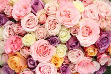 Pastel wedding roses