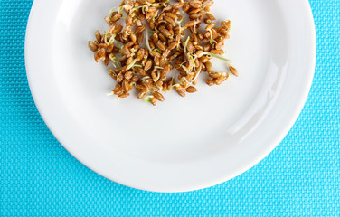 Wheat germs on plate, close up