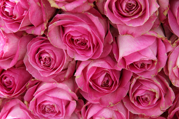 big pink roses in a wedding centerpiece