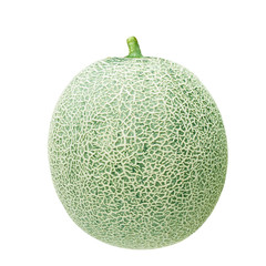 cantaloupe melon