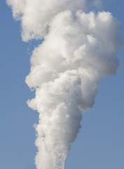 Volumes of white smoke poured from the chimney.