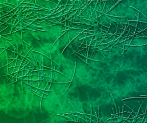 Green Microorganisms Texture