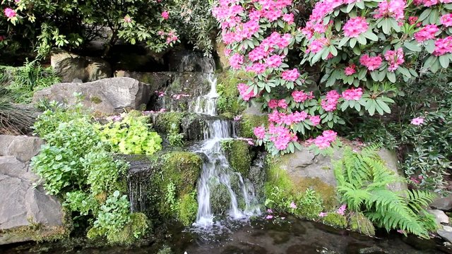 Waterfall in Crystal Springs Garden in Portland, Oregon 1080p