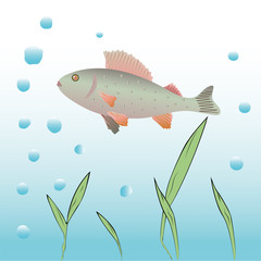 Underwater vector background.