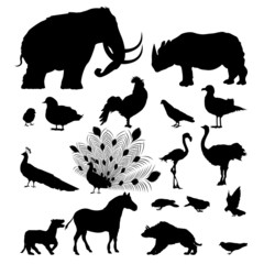 Wild animal silhouettes