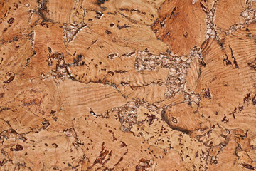 cork texture. cork background. Closeup 