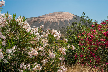 Flowers with Volcano