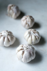Garlic heads on graduated pale background