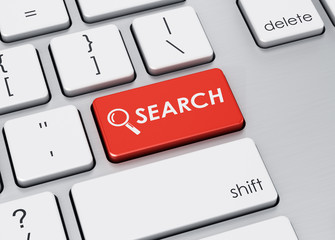 Fototapeta premium Search