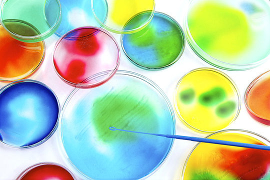 Microbiologie - Ensemencement de boites de p&eacute;tri