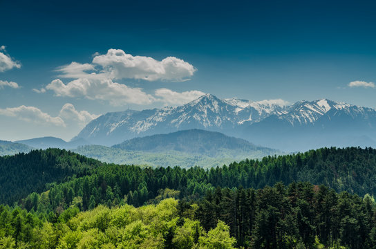 Mountains With Blue Sky And Forrest Scenery