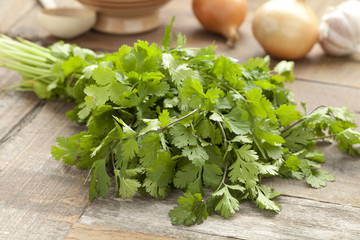 Fresh coriander