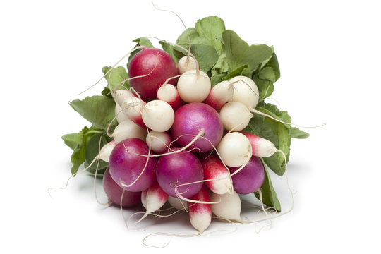 Variety Of Radishes