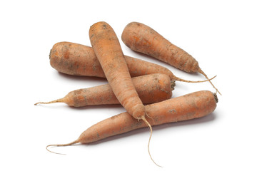 Fresh carrots with sand