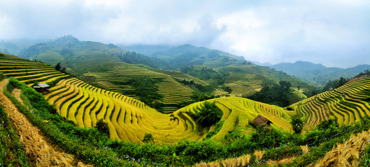 rice field on terraced in mountain.