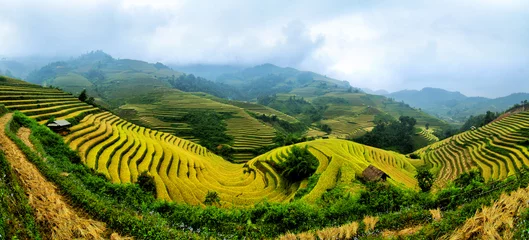 Poster rice field on terraced in mountain. © degist
