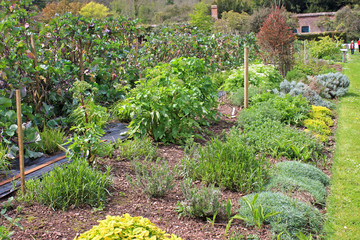 Herb garden