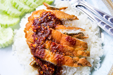 Fish Fried with spicy sauce on cokked jusmine rice