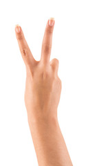 Beautiful female hand with peace or victory sign