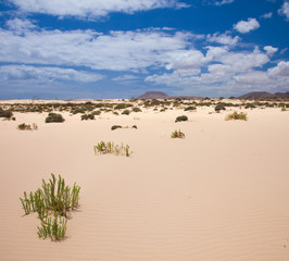 Northern Fuerteventura, Corralejo sand dunes