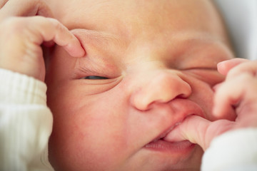 Newborn