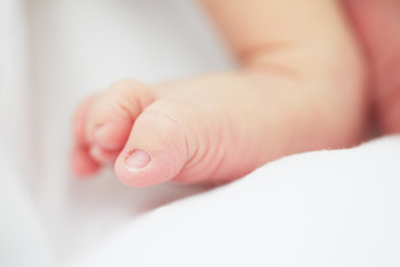Newborn