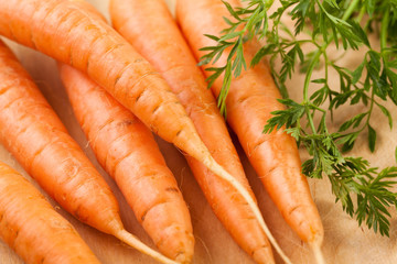 carrots closeup